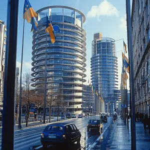 企业高管怎么翻译